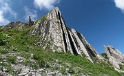 34 Le Canne d'organo al Passo di San Simone...